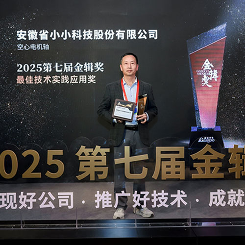 AXT Wins Best Technical Practice Application Award at the 7th Gasgoo Awards
