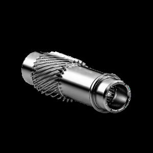 Input shaft